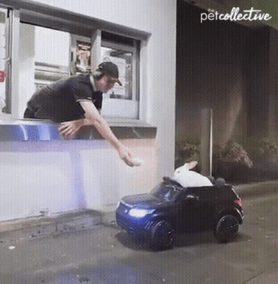 Robot With Headphones Pointing At Do Better GIF