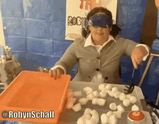 Robyn Schall Cawfee Tawk GIF