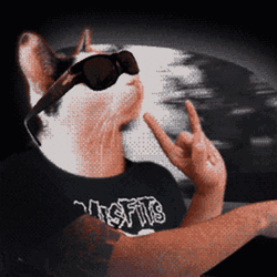 Rock And Roll Cat Driving GIF