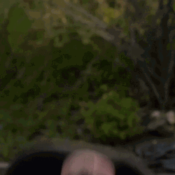 Rock And Roll Headbang GIF