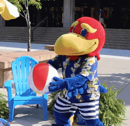 Rock Chalk Cheering Mascot Taking A Break GIF