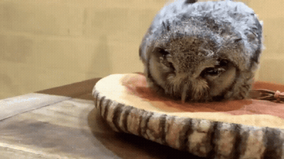Rock Never Die Hand Horns GIF
