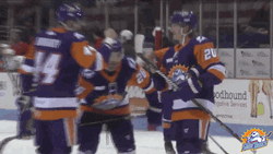 Rock Paper Scissors Orlando Solar Bears GIF