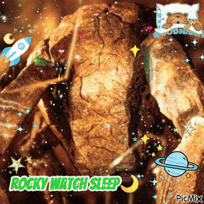 Rock Saying Rocky Watch Sleep GIF