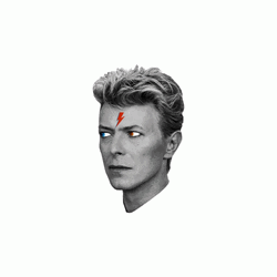Rock Star David Bowie GIF