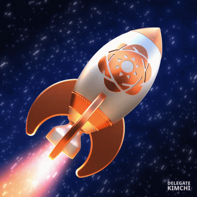 Rocket Delegate Kimchi GIF