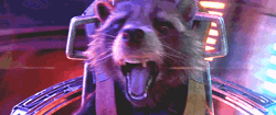 Rocket Is Freaking Out GIF