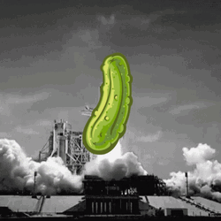 Rocket Launch Vegetable GIF