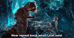 Rocket Raccoon And Groot GIF