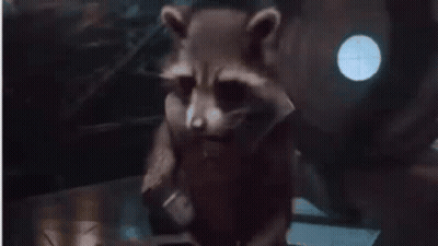 Rocket Raccoon From Guardians Of The Galaxy Is Saying `` You Take The Fun Out Of Life !! '' GIF