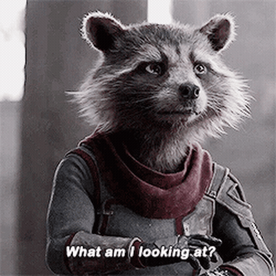 Rocket Raccoon From Guardians Of The Galaxy Is Wearing Armor And A Scarf And Asking What Am I Looking At . GIF