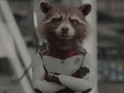Rocket Racoon Marvels Talking GIF