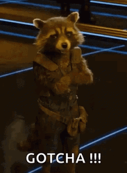 Rocket Racoon Smiling Gotcha GIF