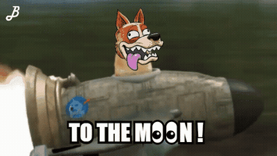 Rocket To The Moon GIF