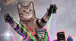 Rockstar Cat Party Galaxy GIF