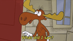 Rocky And Bullwinkle Confused Reaction