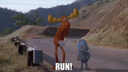 Rocky And Bullwinkle Shouted Run