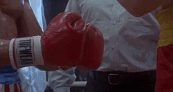 Rocky Dolph Lundgren Touch Gloves GIF