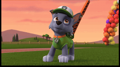 Rocky From PAW Patrol Standing In Field With Balloons GIF
