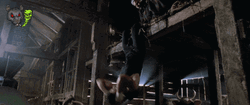 Rocky Training Hanging Upside Down GIF