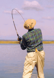 Rod On Pants Funny Fishing GIF