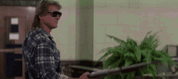 Roddy Piper Legacy In They Live Horror GIF