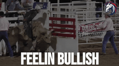 Rodeo Man Riding Bull Feelin Bullish GIF