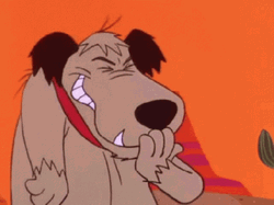 Rofl Muttley Cartoon Character Dog GIF