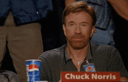 Roger Roger Judge Chuck Norris GIF