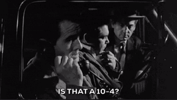 Roger Roger Stakeout On Dope Street GIF