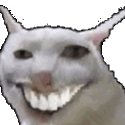 Roger Silly Cat Sticker GIF