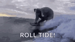 Roll Tide Elephant GIF