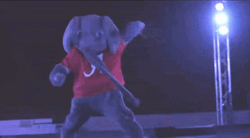 Roll Tide Mascot Dance Floor GIF