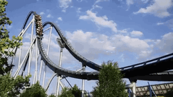 Roller Coaster Amusement Park Ride GIF
