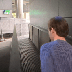 Roller Coaster Bill Hader Dance GIF