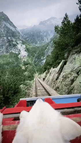 Roller Coaster Going Down Tracks With Mountains GIF
