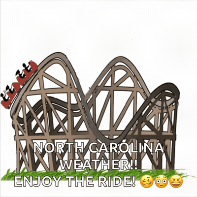 Roller Coaster North Carolina Weather Enjoy The Ride GIF