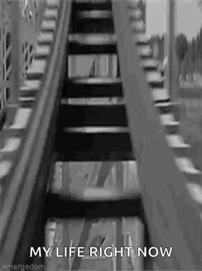 Roller Coaster With My Life Right Now GIF