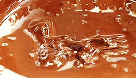 Rolling Chocolate Bites On Various Toppings GIF