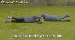 Rolling Into The Weekend Like GIF | GIFDB.com