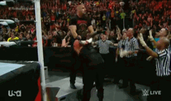 Roman Reigns Knocked Out Bloody GIF