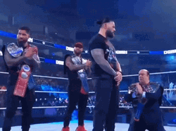 Roman Reigns What Did You Say Who GIF