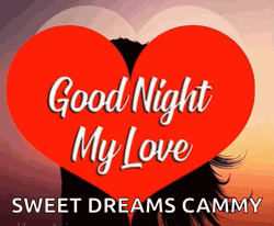 Romantic Good Night My Love Couple Silhouette Kissing GIF