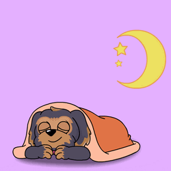 Romantic Good Night My Love Sweet Cartoon Dog GIF