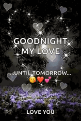 Romantic Good Night My Love Until Tomorrow GIF