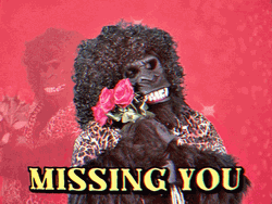 Romantic Gorilla Mascot GIF