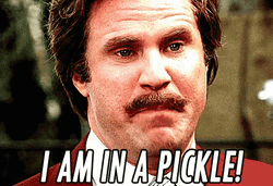 Ron Burgundy Pickleball Joke Meme GIF