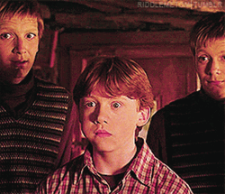 Ron George And Fred Weasley GIF