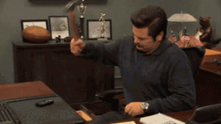 Ron Swanson Hammer GIF