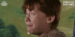 Ron Weasley Scared Smile
